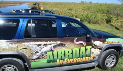 everglades fanboat tours