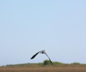 everglades tours near miami