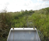 miami to everglades tour