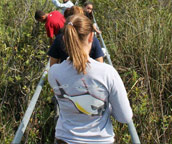 everglades tours reviews