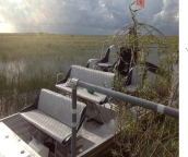 miami swamp tours