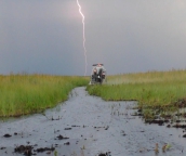 everglades tour