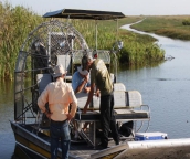 airboat everglades