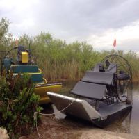 1 hour private airboat adventure