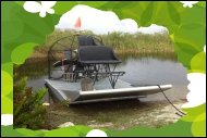 1 hour private Airboat adventure